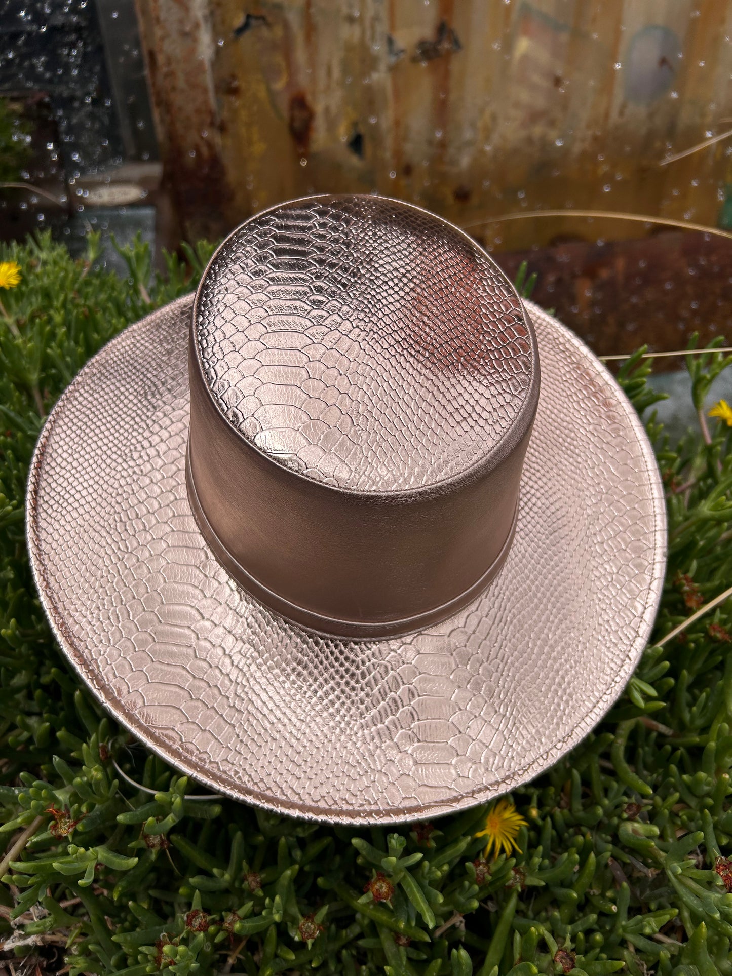 Rose Gold Snake Flat Brim