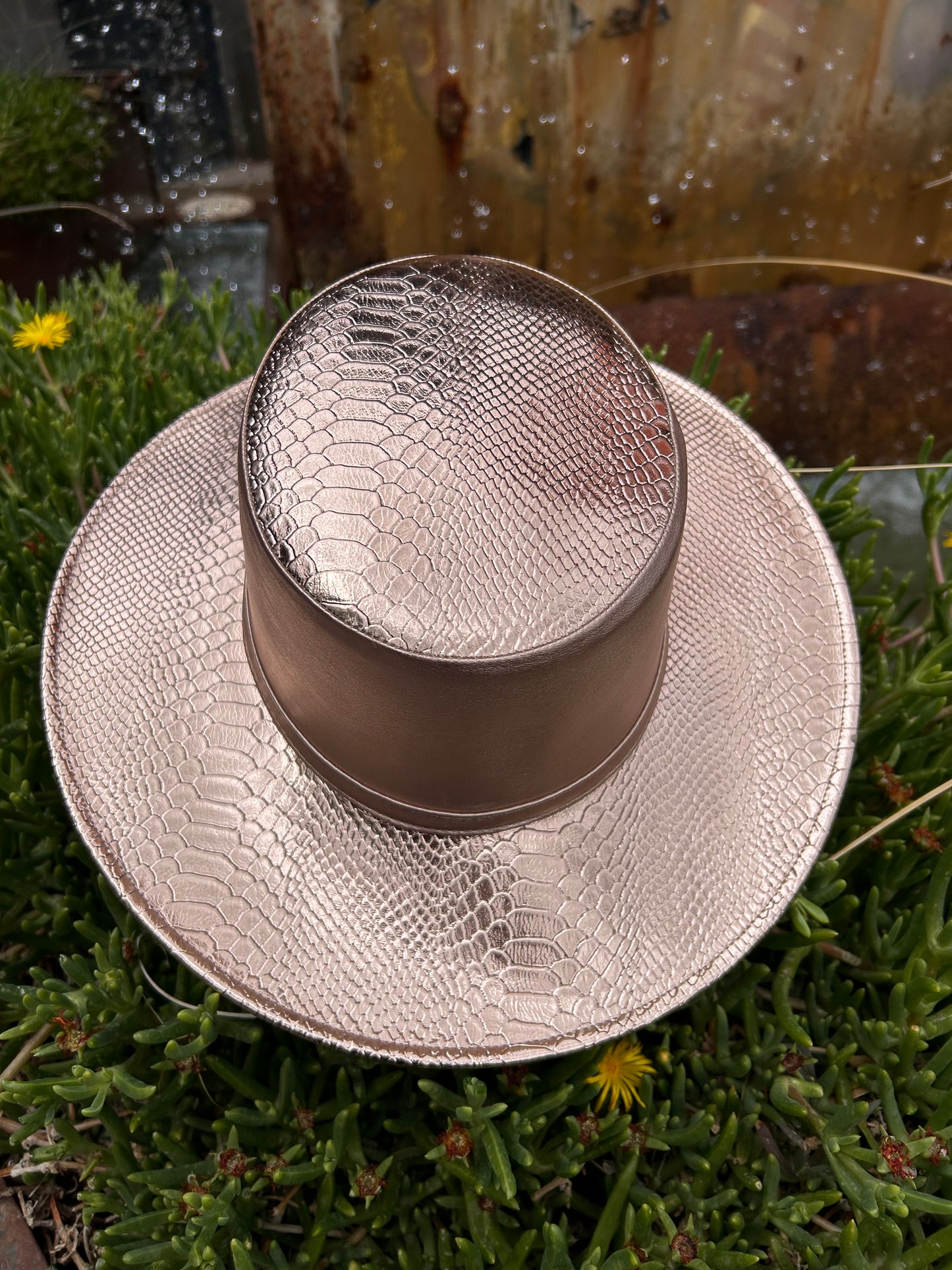 Rose Gold Snake Flat Brim